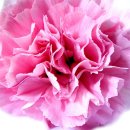 울랄라노래방 이미지