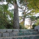 호텔 프라다 이미지