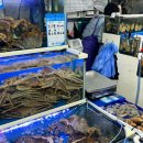 진주상회 이미지