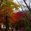 소요산 국화꽃축제와 단풍놀이 즐겼던 가을날의신명 이미지