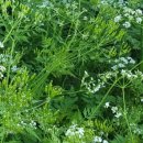 전호농장 이미지