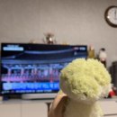 상하이(상해) 이미지