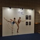 유니버설발레단 지젤 후기 :: 전민철 홍향기 예술의전당 오페라극장 1층 17열 시야