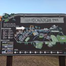 솔향기둥지 이미지