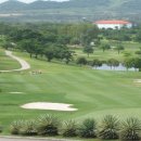 메이져골프클럽 이미지