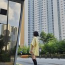 옐로우시티 | 남녀공용반팔셔츠추천 시티보이 오버핏셔츠 옐로우색상후기