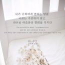 띠자인 이미지