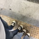 홈즈카페몰 이미지