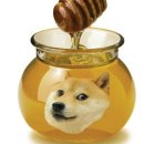 일일일맥 네이버블로그