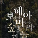 마티네음악처럼 이미지