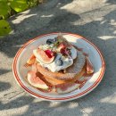 베스트 애견 이미지