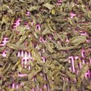 반석민박 이미지