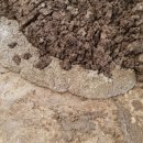 새일목장 이미지