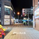 낙지·쌈의만남