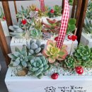 꽃길어린이집 이미지