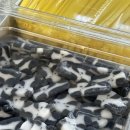 따봉마라탕 - 춘천시 | 명동 맛집 탕화쿵푸 본점 마라탕 내돈내산 혼밥 후기