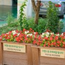 파리블랑제 과자점 이미지