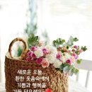 유람 이미지