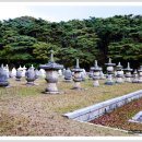 달강이네 이미지