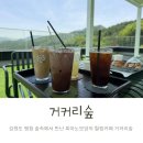 자작나무이야기북카페 | 강원도 평창 숲속 대형카페 거커리숲 제대로된 힐링여행