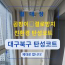 마음가리주식회사 | 대구 북구 탄성코트 제대로 된 시공 방법
