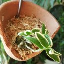 석곡농장 이미지