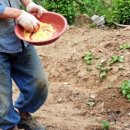 개미농장 2농장 이미지