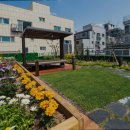 광진노인보호센터 이미지