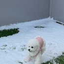 프릿토핏 이미지