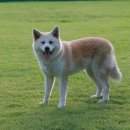 귀족동물병원 이미지