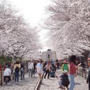 가온체형교정운동센터 이미지