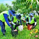 농협중앙회 광주영업본부 이미지
