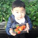 표씨농장 이미지