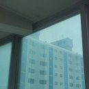 세동한신 이미지