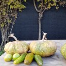 청등농장 이미지