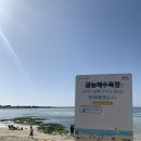 돌담너머바다