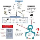 미세플라스틱 일주일에 ‘신용카드 한 장’ 삼킨다? 이미지