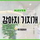 부산동물병원 제넷 이미지