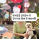 농림축산검역본부구내식당 | 강아지 데리고 해외여행 검역 준비 후 베트남 애견동반여행 다녀왔어요