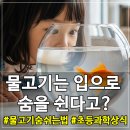 뻐끔뻐끔
