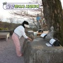 만어사 | 밀양 사찰 여행 만어사 소원돌, 법당 안 큰 돌 미륵암