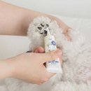 릴리브미 이미지