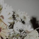 포근하개 이미지