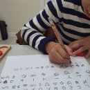 심리운동센터 숲 이미지