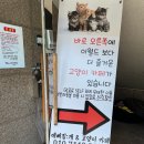 예뻐질:개&고양이카페 이미지