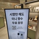 세븐일레븐부천중동신흥점 | 퓨어파이브 향수 부천 중동 현대백화점 팝업샵 방문 후기