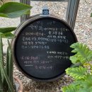 온애 | [ 순천 ] 온애 ; 상사면 신상카페 / 감성숙소 / 수영장&amp;바베큐장 구비 / 순천 온실카페