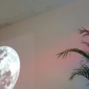 새벽달(본점) 이미지