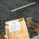 왈왈키친 이미지