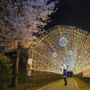 양재천 수변무대4 이미지